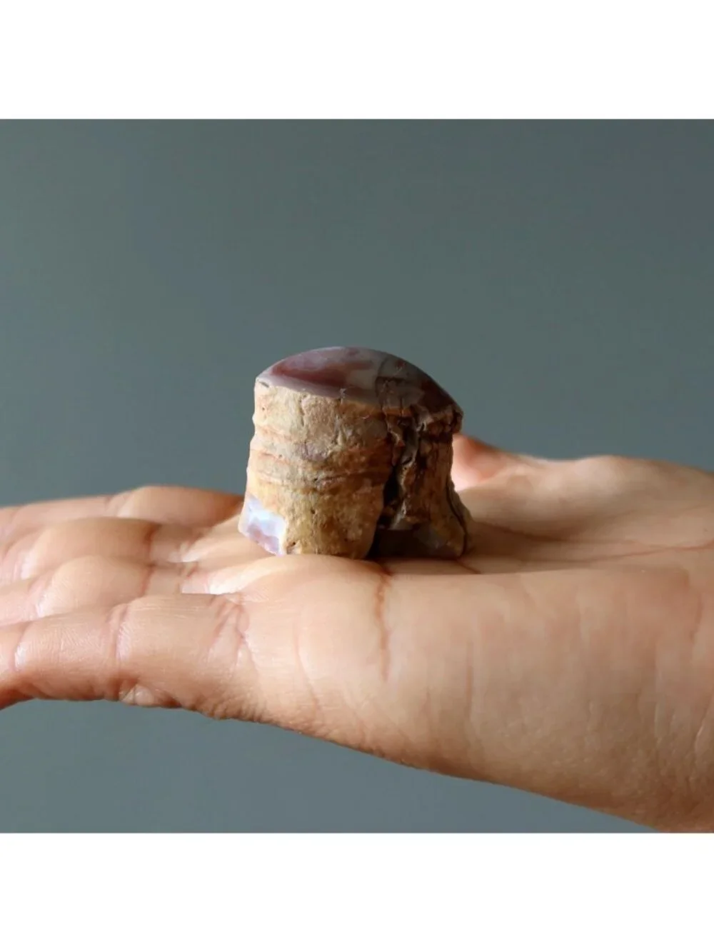 Agatized Petrified Wood Stone Specimen Pink Agate Jasper Rough Mineral